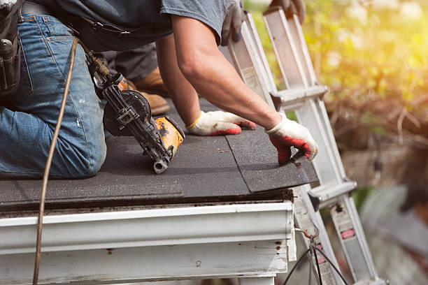 Best Storm Damage Roof Repair  in Gladewater, TX
