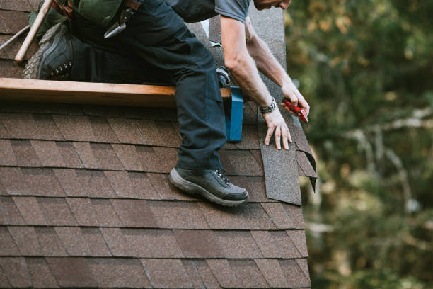 Best Roof Gutter Cleaning  in Gladewater, TX